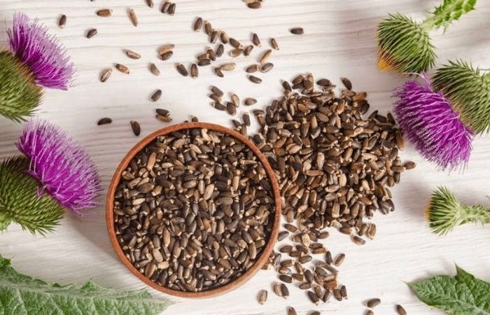 Milk Thistle