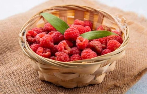 Lợi ích của mâm xôi giảm cân