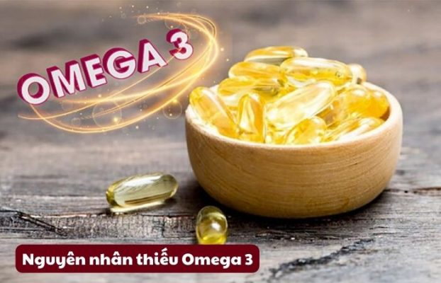 Nguyên nhân phổ biến khiến bản thân thiếu hụt Omega 3