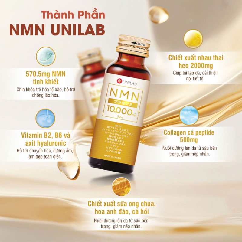 thành-phần-nmn-unilab