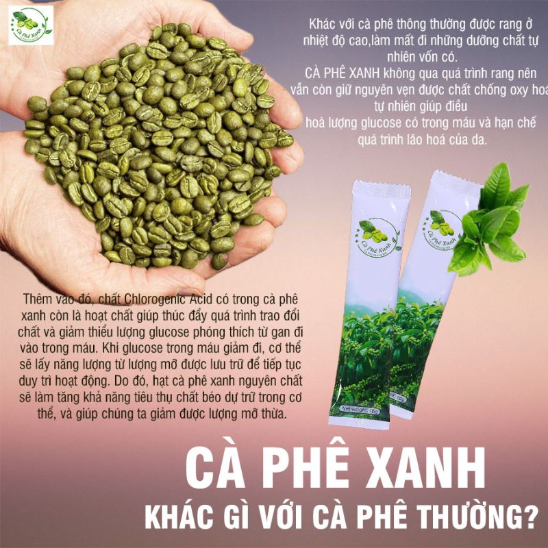 thành phần cà phê xanh giảm cân