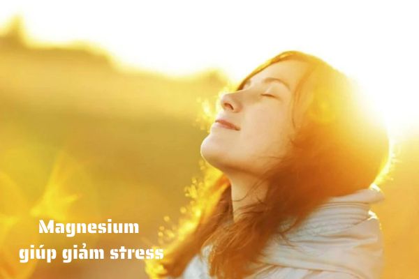 magnesium giúp giảm stress